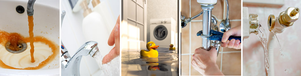 plumber sunshine coast